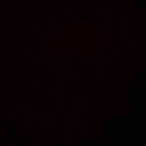 Meet your Posher, Dylan